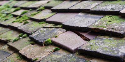 Brightwalton roof repair costs